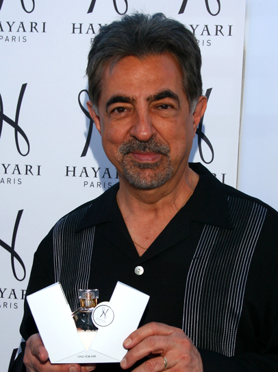 Joe Mantegna Hayari